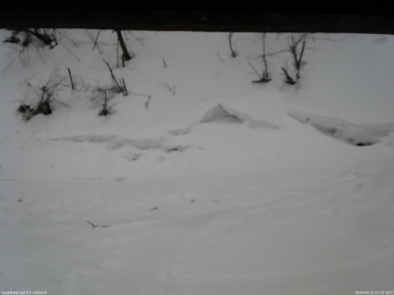 長野県菅平高原 ゆたか山荘 東側(坂下) 2026/03/12 07:15
