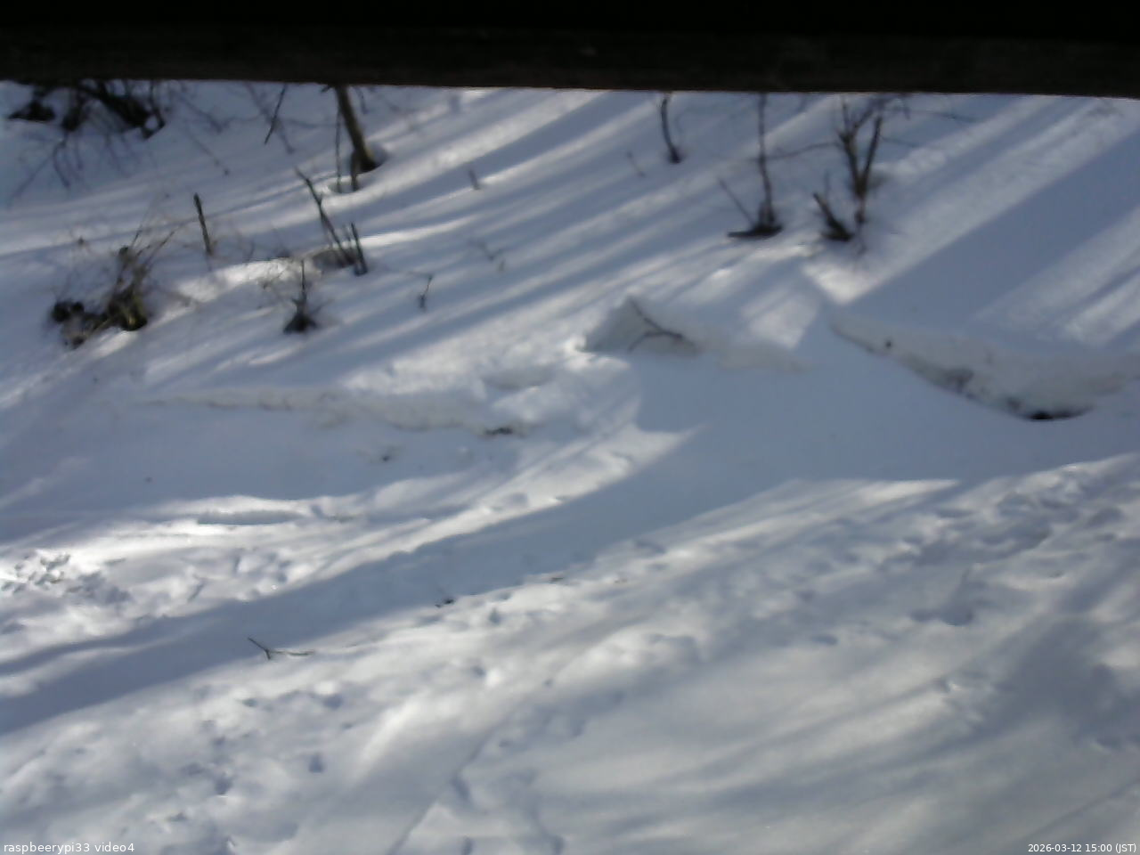 長野県菅平高原 ゆたか山荘 東側(坂下) 2026/03/12 15:00