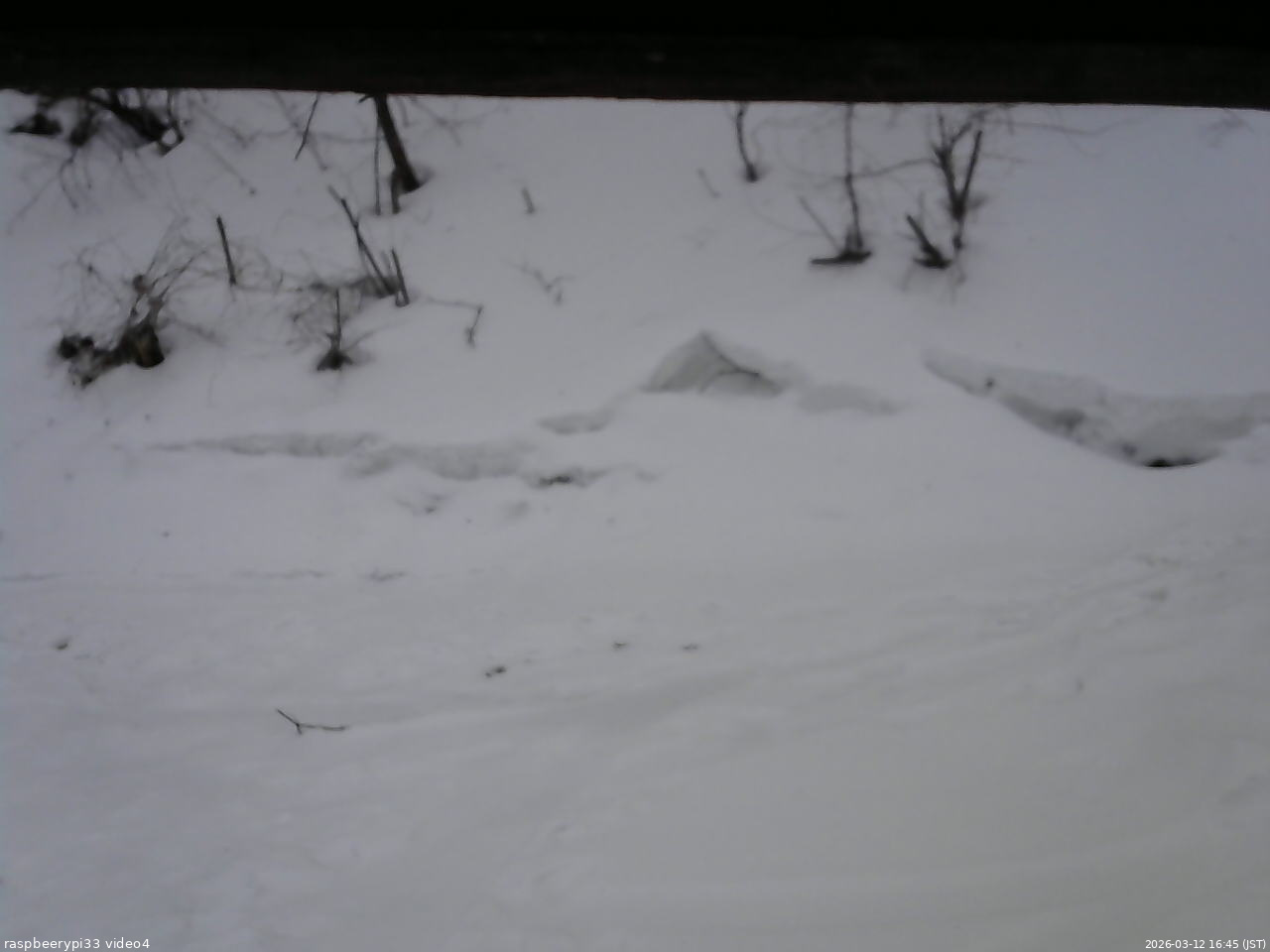 長野県菅平高原 ゆたか山荘 東側(坂下) 2026/03/12 16:45