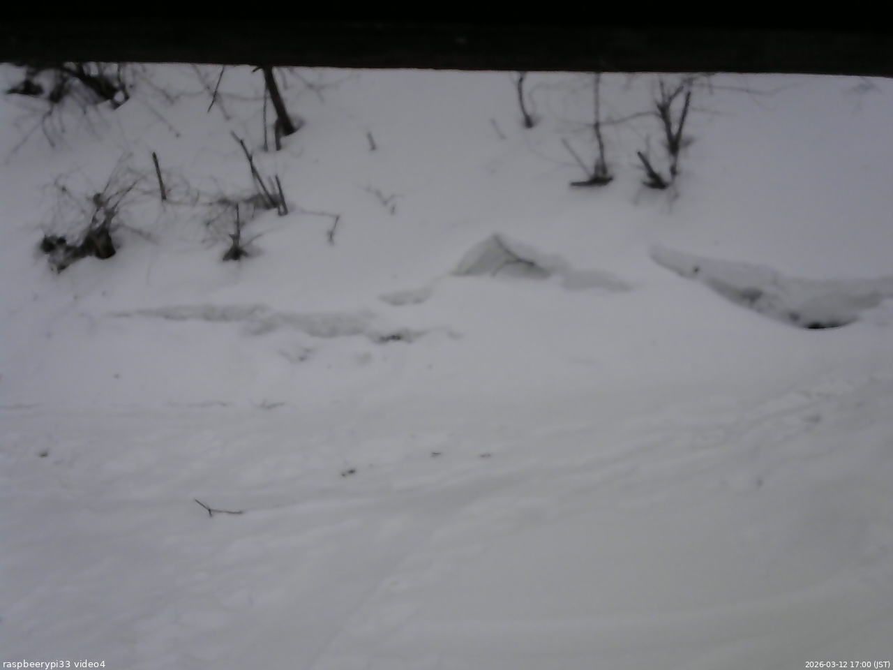 長野県菅平高原 ゆたか山荘 東側(坂下) 2026/03/12 17:00