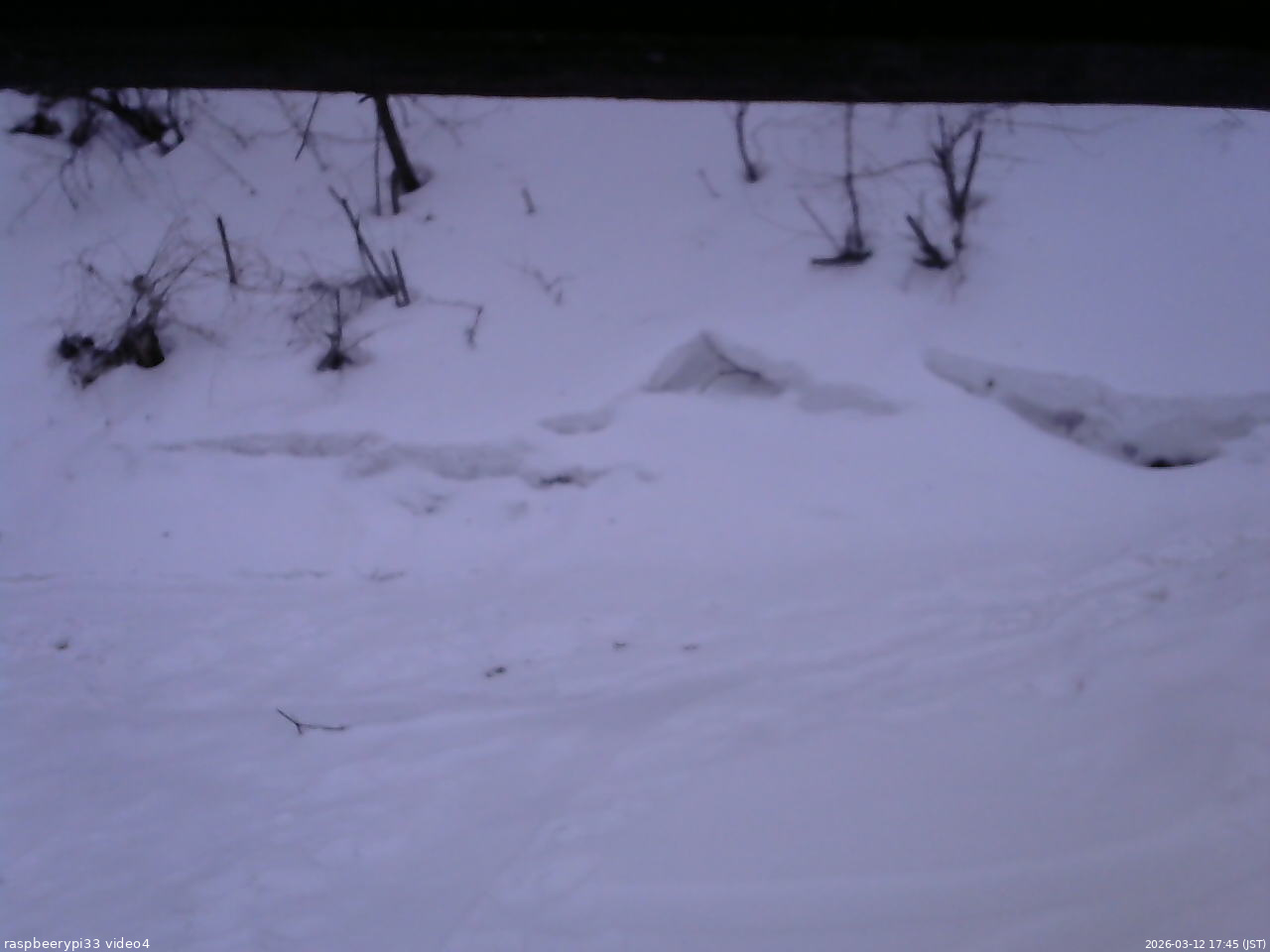 長野県菅平高原 ゆたか山荘 東側(坂下) 2026/03/12 17:45