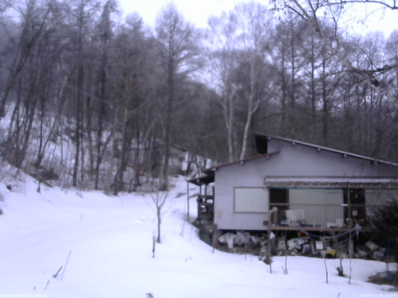 長野県菅平高原 ゆたか山荘 西側(坂上) 2026/03/12 06:15