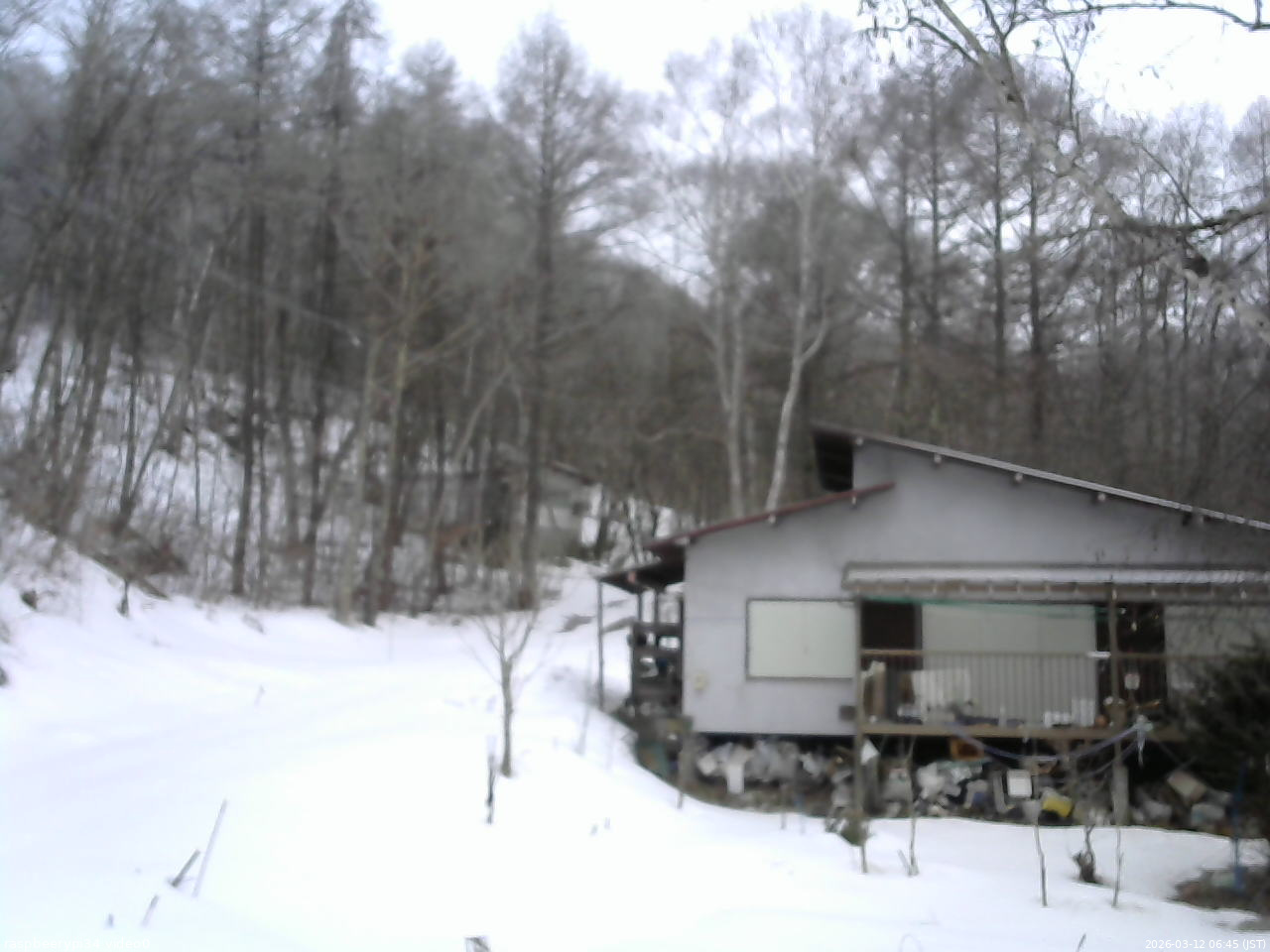 長野県菅平高原 ゆたか山荘 西側(坂上) 2026/03/12 06:45
