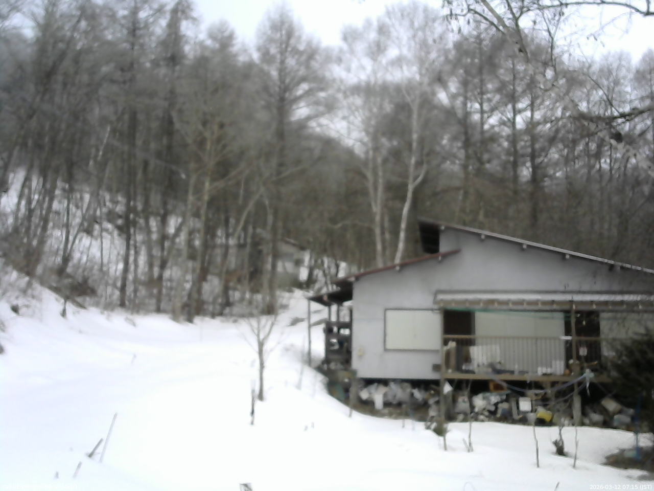 長野県菅平高原 ゆたか山荘 西側(坂上) 2026/03/12 07:15
