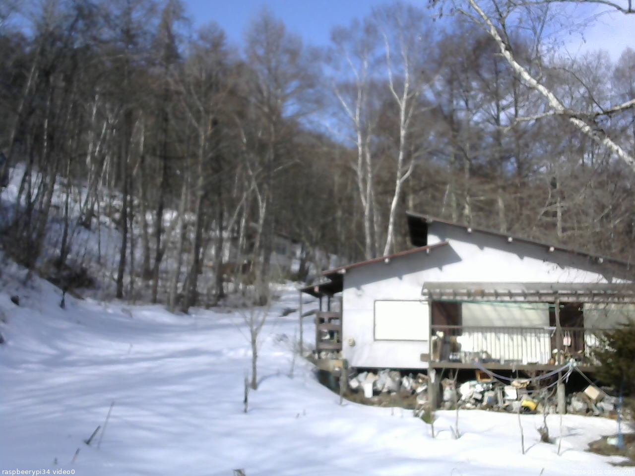 長野県菅平高原 ゆたか山荘 西側(坂上) 2026/03/12 09:00