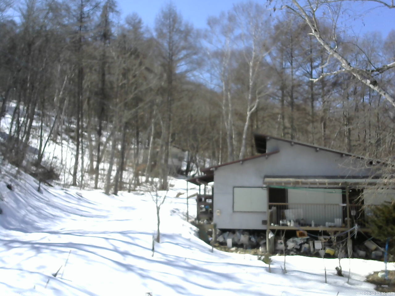 長野県菅平高原 ゆたか山荘 西側(坂上) 2026/03/12 12:30