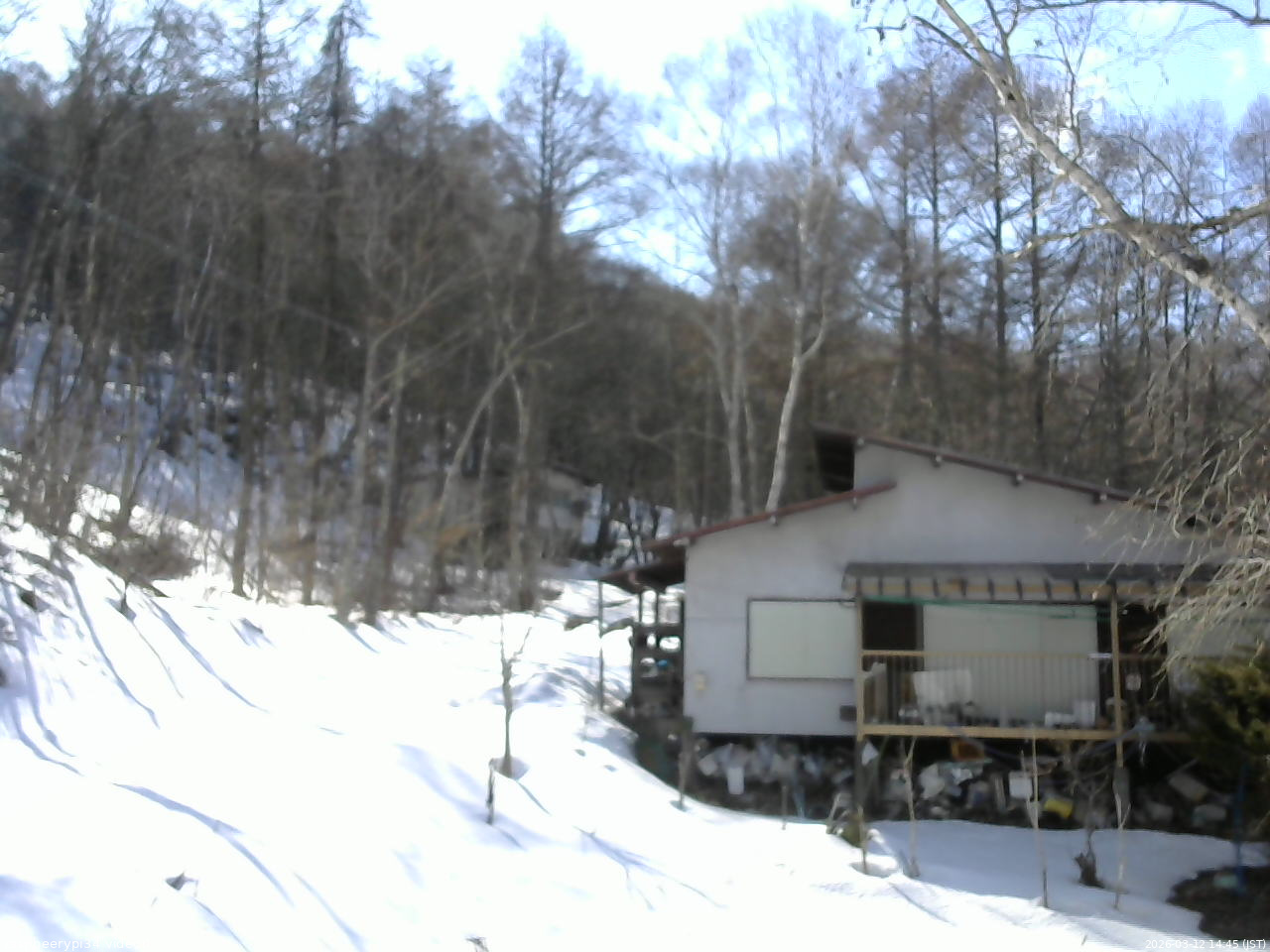 長野県菅平高原 ゆたか山荘 西側(坂上) 2026/03/12 14:45