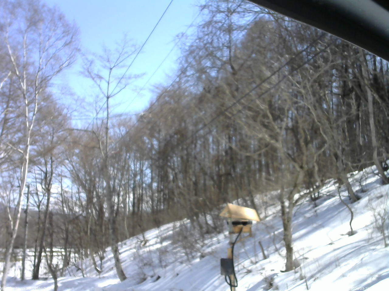 長野県菅平高原 ゆたか山荘 温度計 2026/03/12 12:30