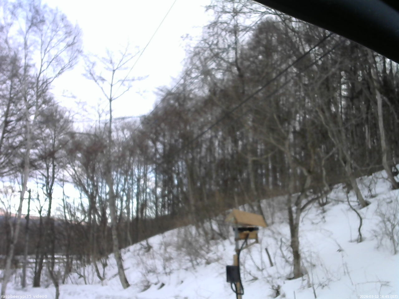 長野県菅平高原 ゆたか山荘 温度計 2026/03/12 16:45