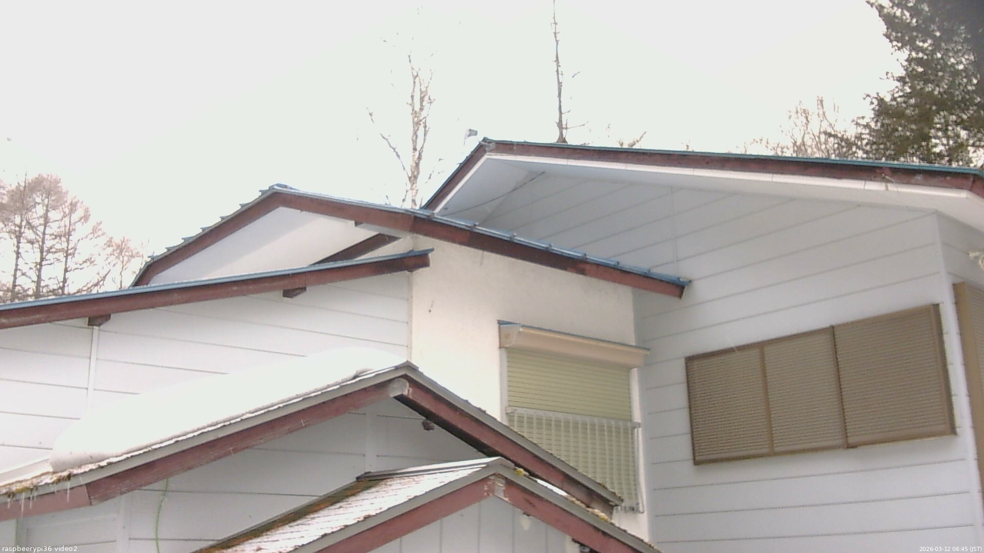 長野県菅平高原 ゆたか山荘 駐車場奥 2026/03/12 06:45
