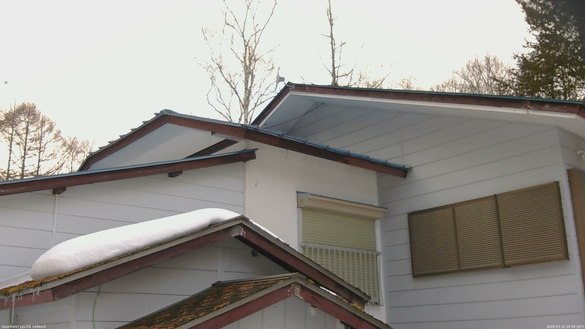 長野県菅平高原 ゆたか山荘 駐車場奥 2026/03/12 16:30