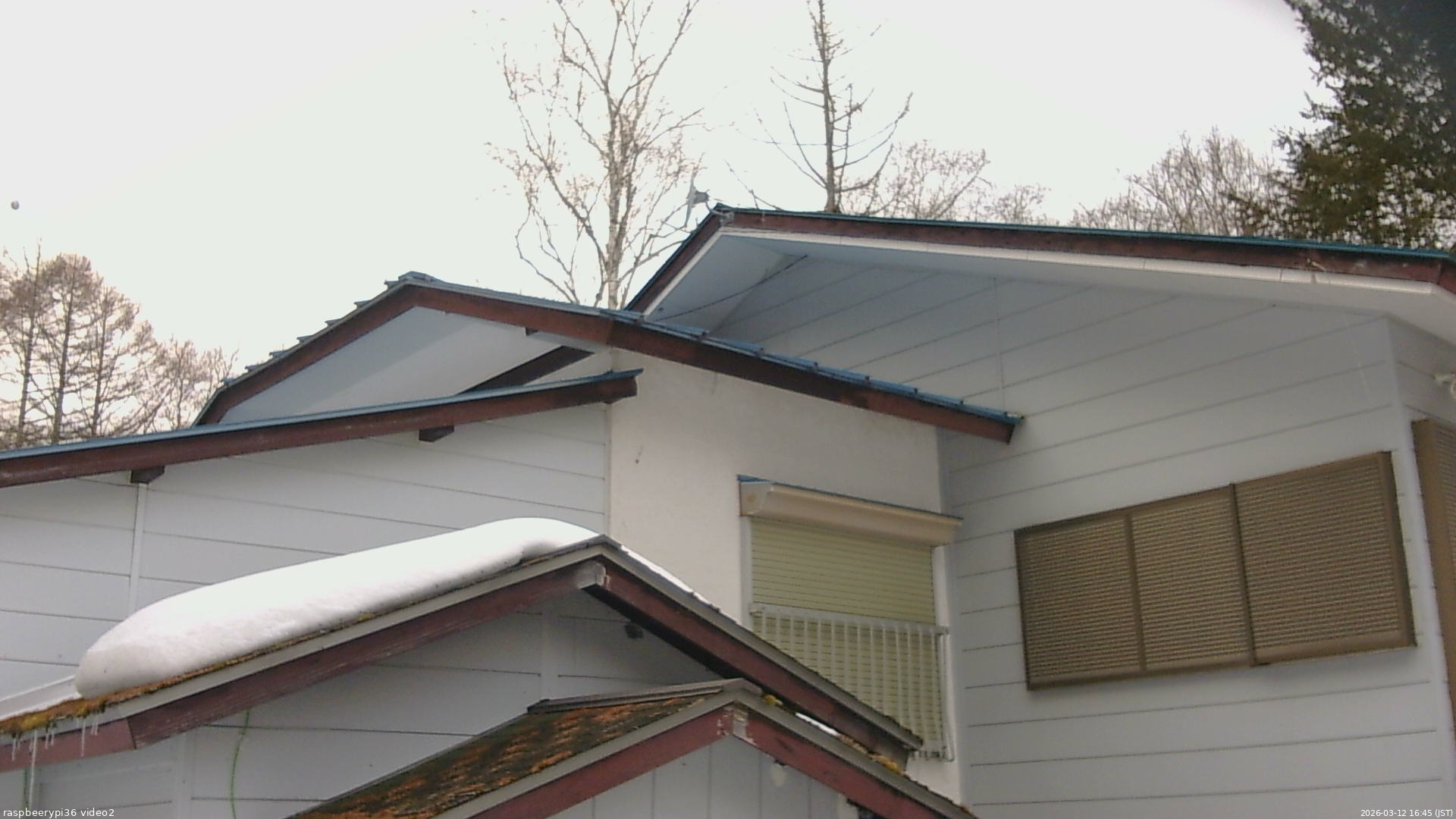 長野県菅平高原 ゆたか山荘 駐車場奥 2026/03/12 16:45