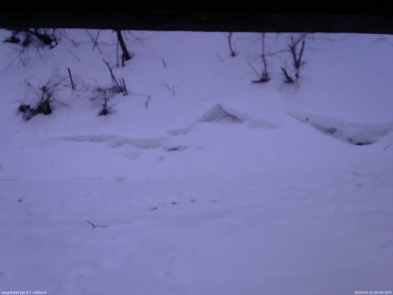 長野県菅平高原 ゆたか山荘 東側(坂下) 2026/03/13 06:00