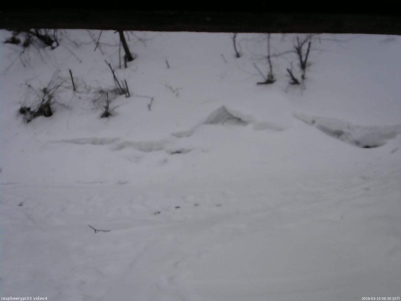 長野県菅平高原 ゆたか山荘 東側(坂下) 2026/03/13 06:30