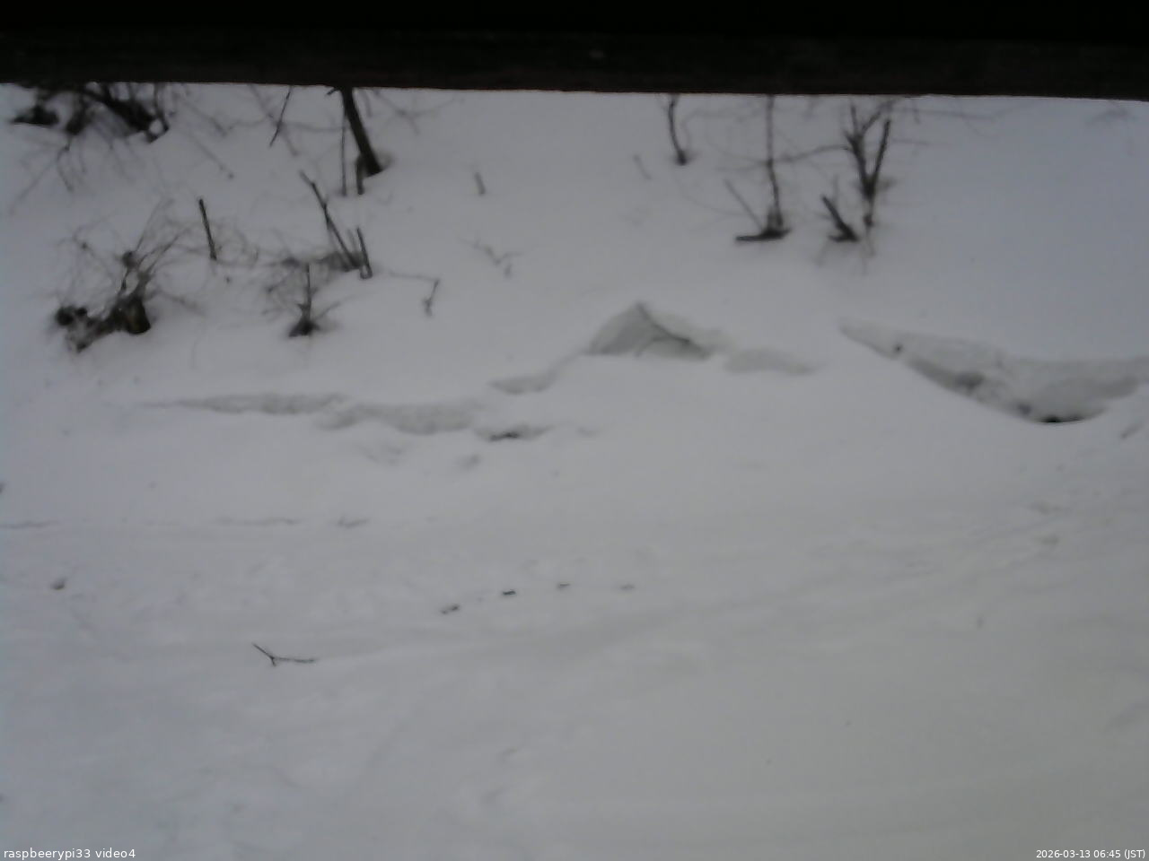 長野県菅平高原 ゆたか山荘 東側(坂下) 2026/03/13 06:45