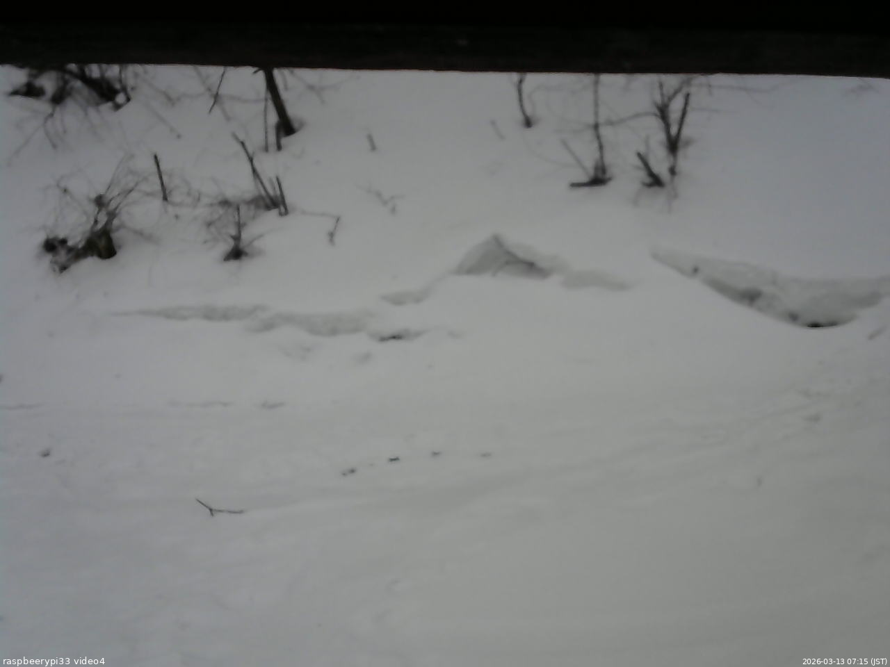 長野県菅平高原 ゆたか山荘 東側(坂下) 2026/03/13 07:15