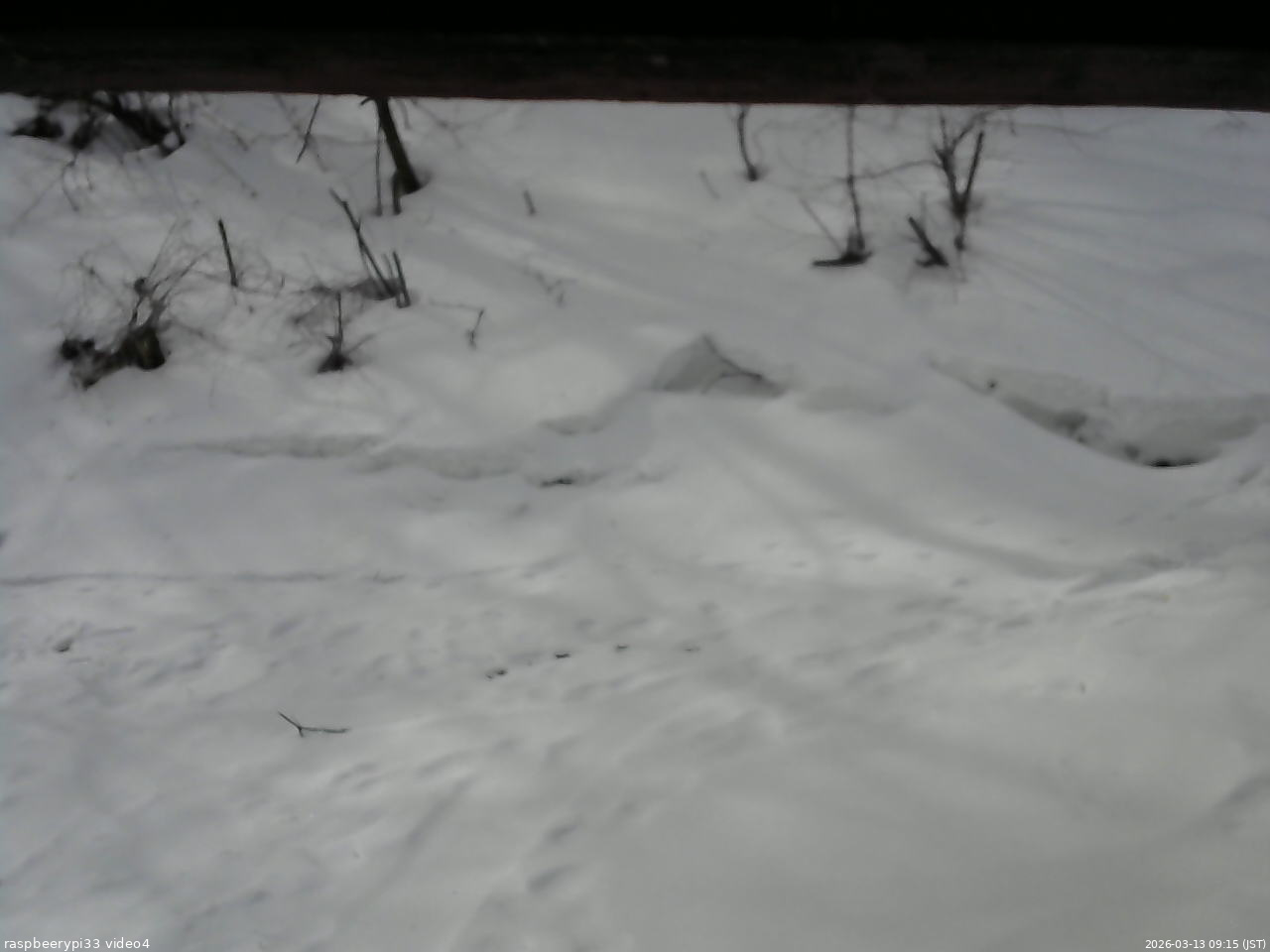 長野県菅平高原 ゆたか山荘 東側(坂下) 2026/03/13 09:15