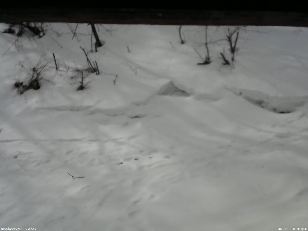 長野県菅平高原 ゆたか山荘 東側(坂下) 2026/03/13 09:30