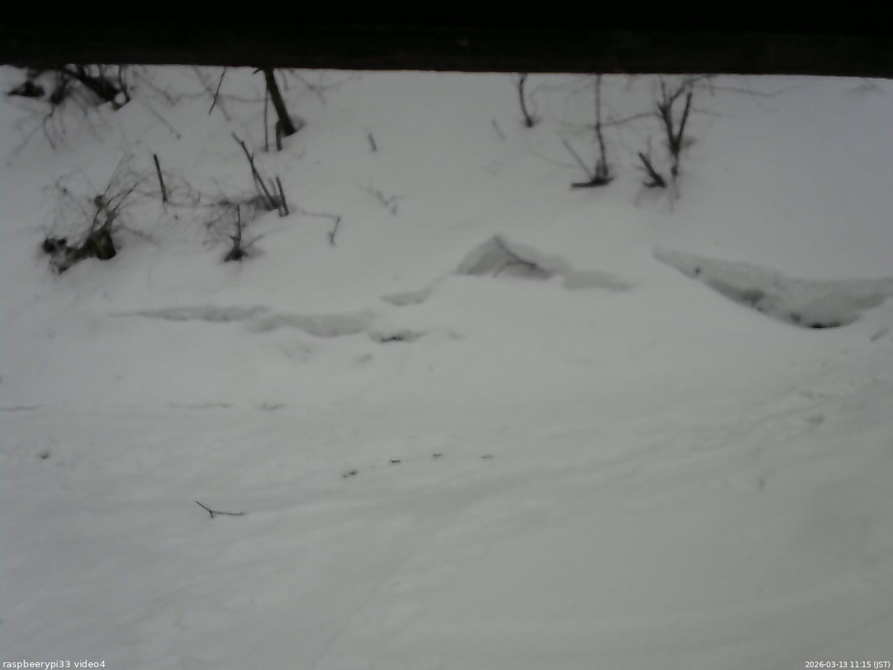 長野県菅平高原 ゆたか山荘 東側(坂下) 2026/03/13 11:15