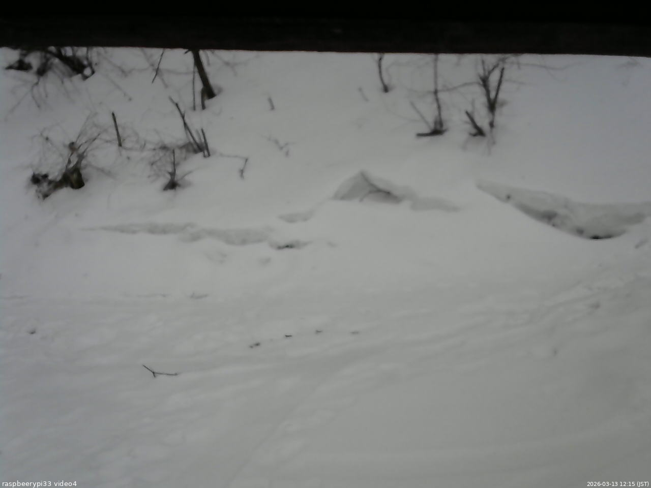 長野県菅平高原 ゆたか山荘 東側(坂下) 2026/03/13 12:15