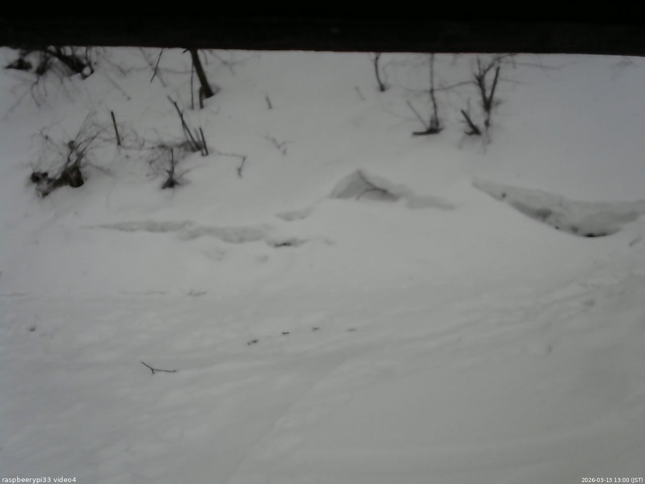 長野県菅平高原 ゆたか山荘 東側(坂下) 2026/03/13 13:00