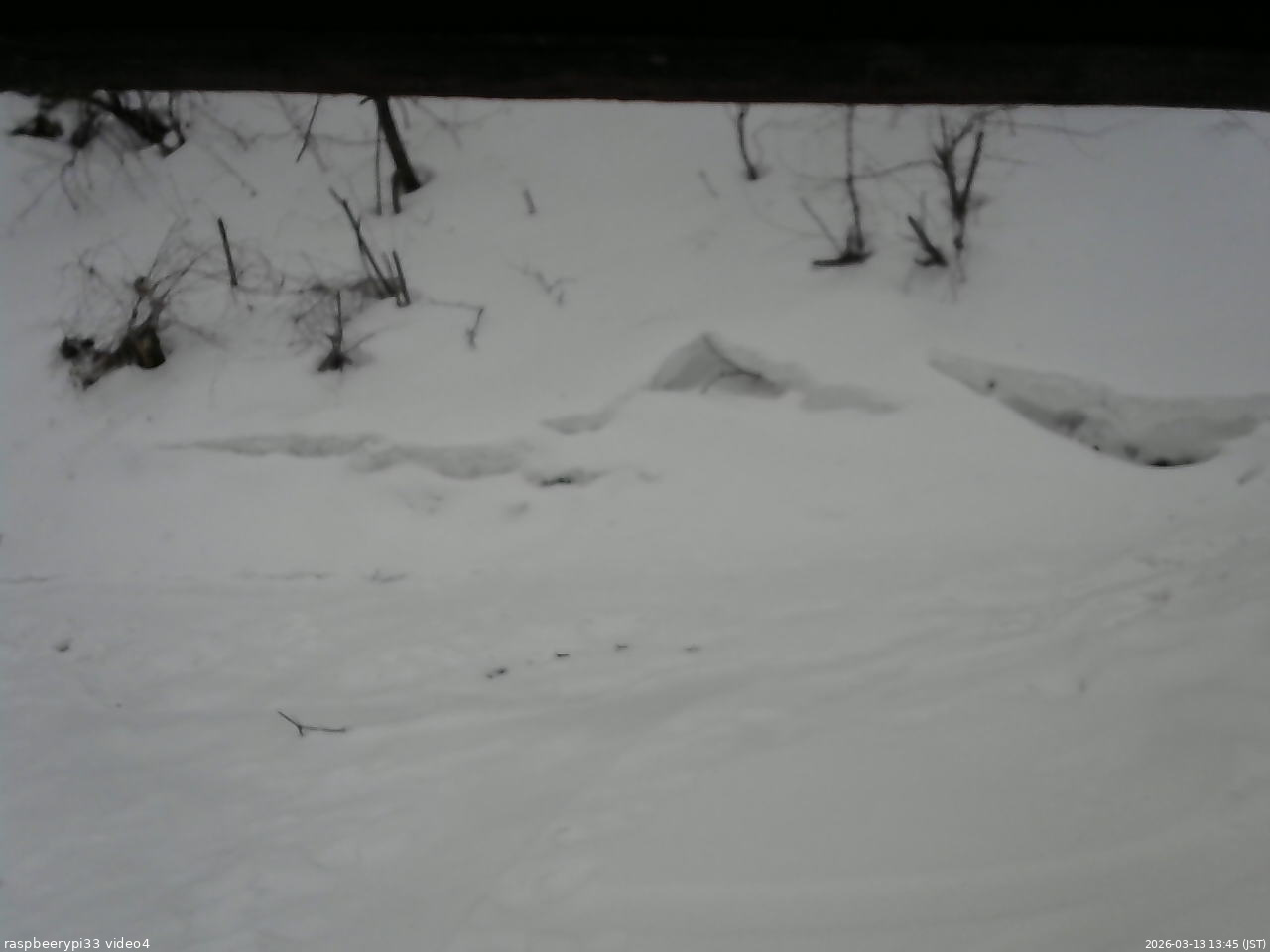 長野県菅平高原 ゆたか山荘 東側(坂下) 2026/03/13 13:45