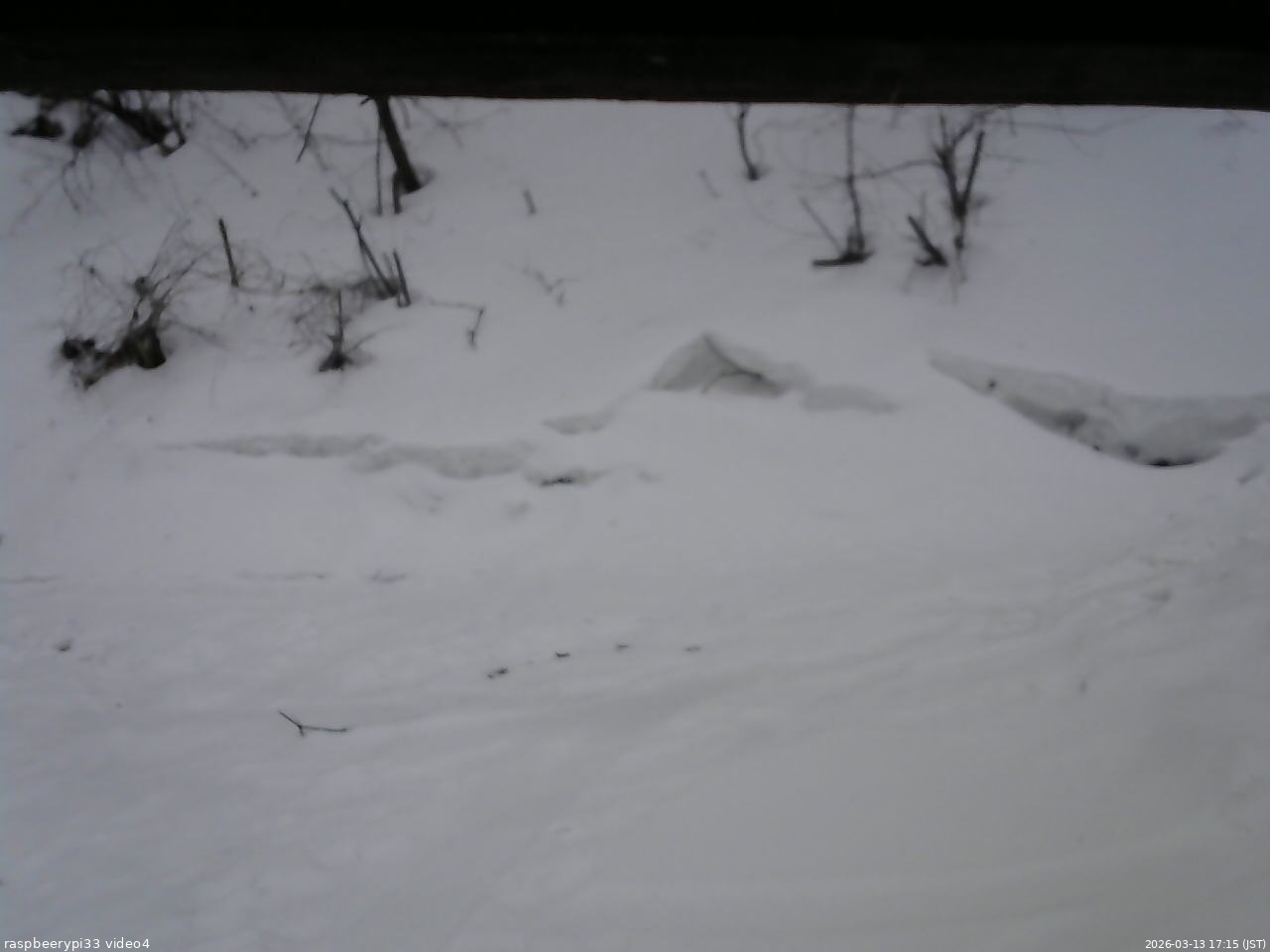 長野県菅平高原 ゆたか山荘 東側(坂下) 2026/03/13 17:15