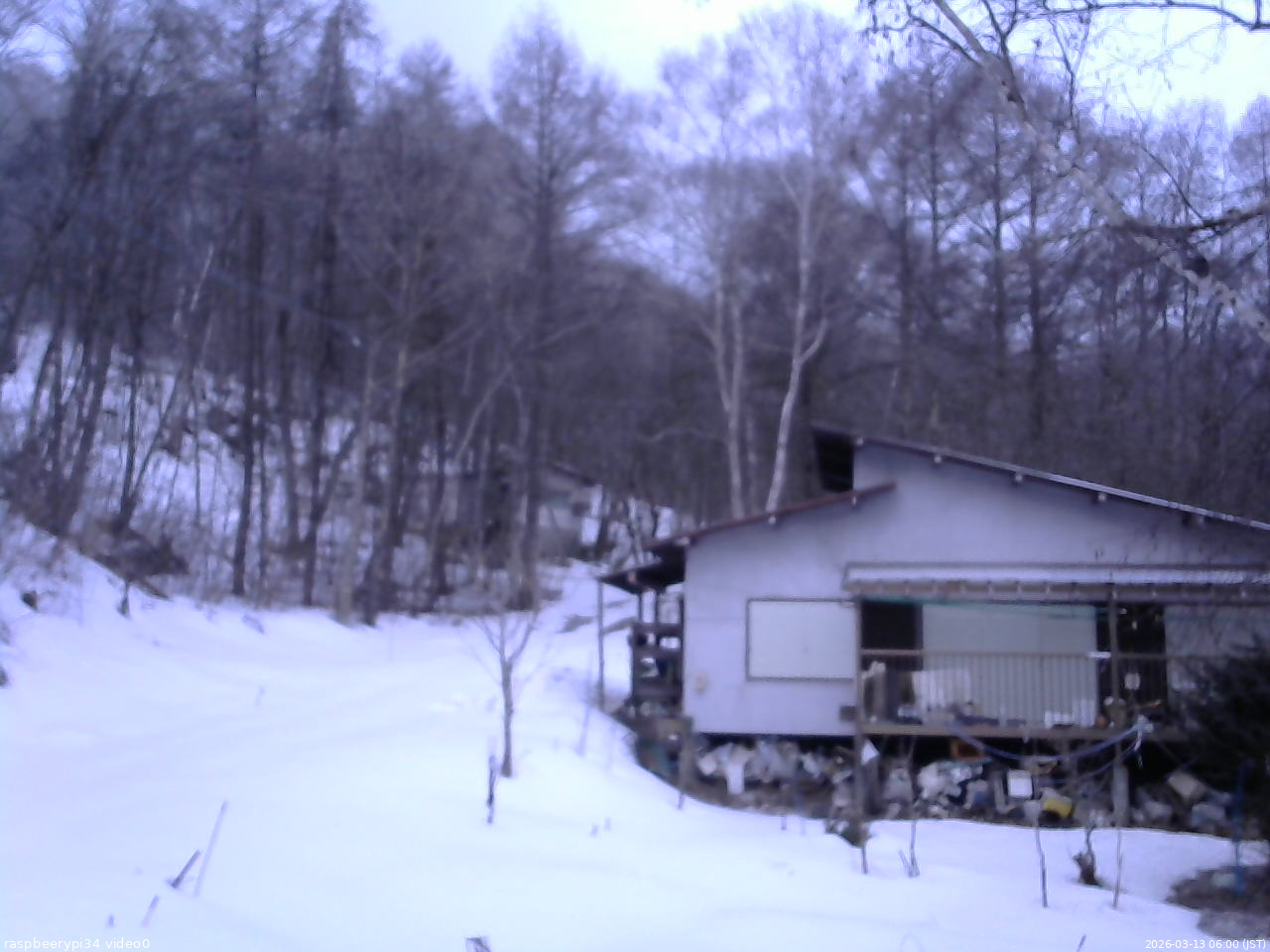 長野県菅平高原 ゆたか山荘 西側(坂上) 2026/03/13 06:00
