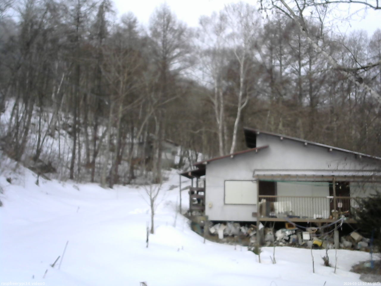 長野県菅平高原 ゆたか山荘 西側(坂上) 2026/03/13 07:45