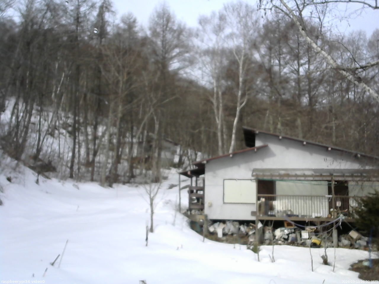 長野県菅平高原 ゆたか山荘 西側(坂上) 2026/03/13 09:00