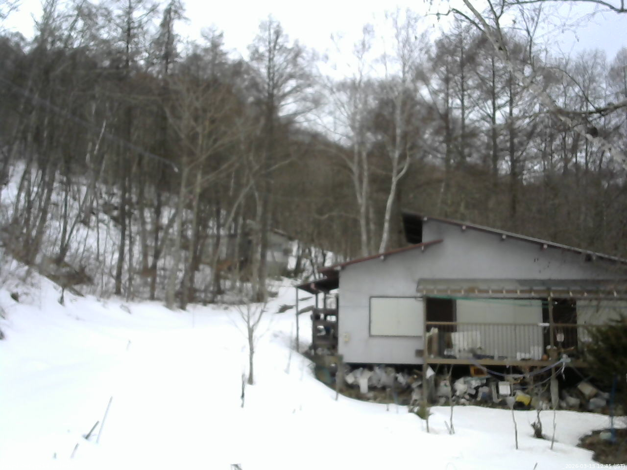 長野県菅平高原 ゆたか山荘 西側(坂上) 2026/03/13 12:45