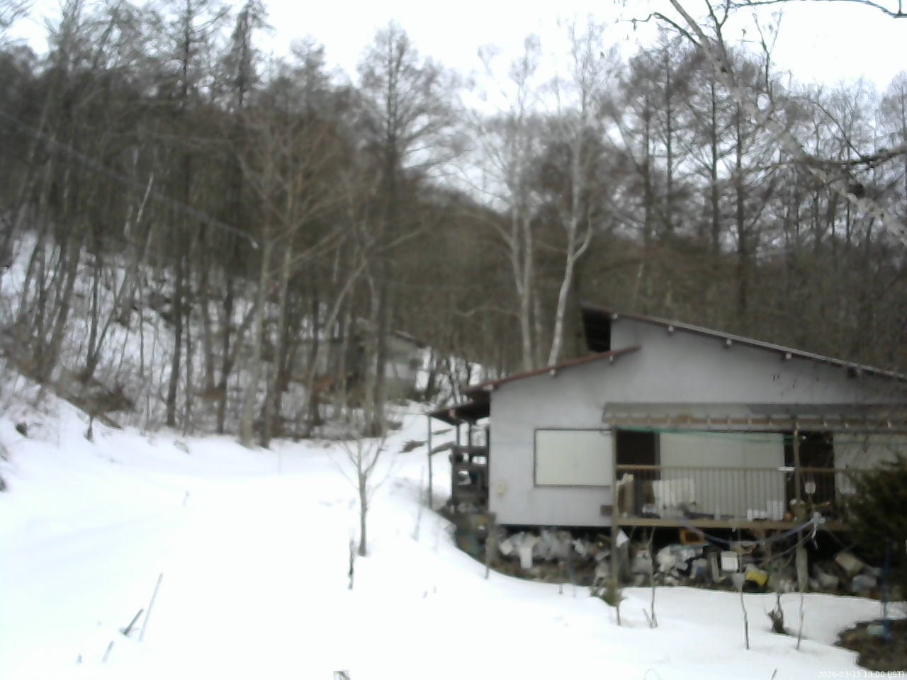 長野県菅平高原 ゆたか山荘 西側(坂上) 2026/03/13 13:00