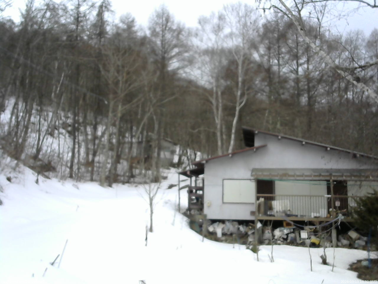 長野県菅平高原 ゆたか山荘 西側(坂上) 2026/03/13 13:30