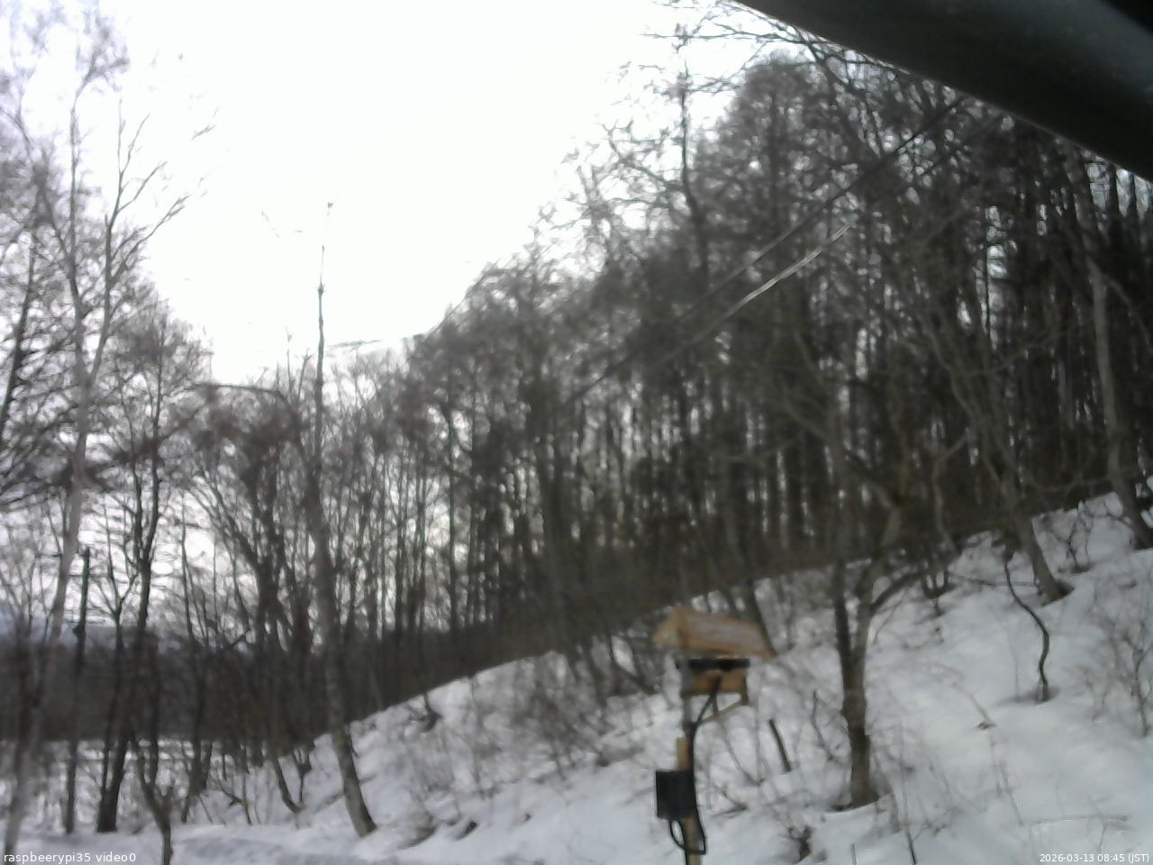 長野県菅平高原 ゆたか山荘 温度計 2026/03/13 08:45