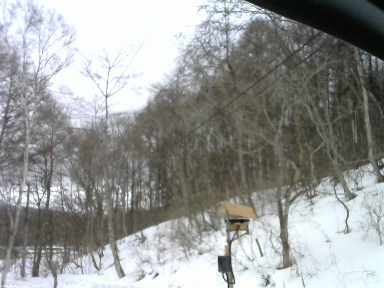 長野県菅平高原 ゆたか山荘 温度計 2026/03/13 12:45