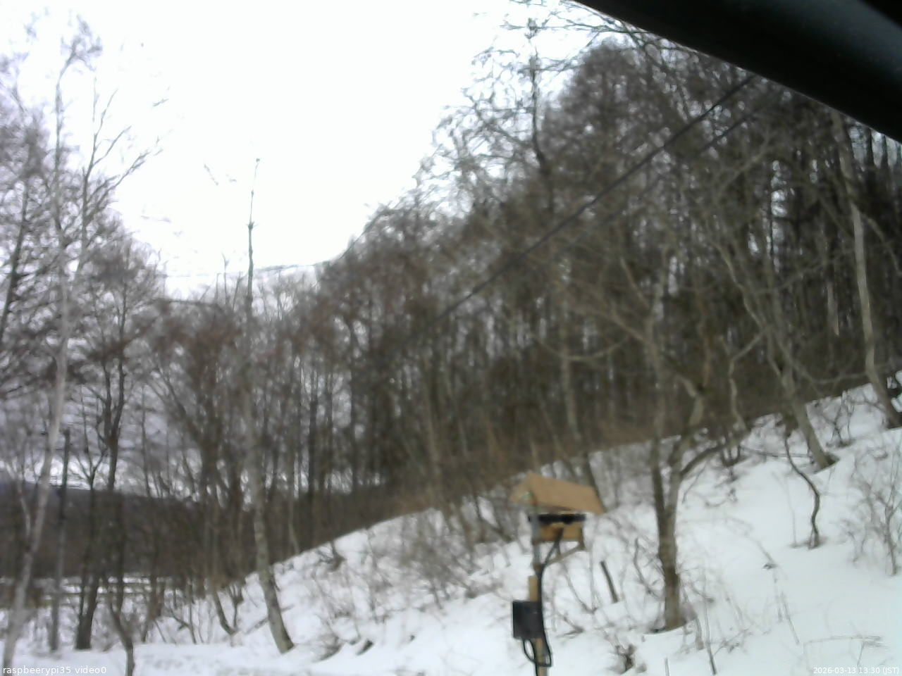 長野県菅平高原 ゆたか山荘 温度計 2026/03/13 13:30