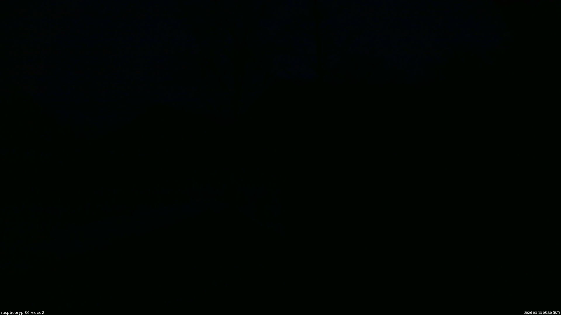 長野県菅平高原 ゆたか山荘 駐車場奥 2026/03/13 05:30