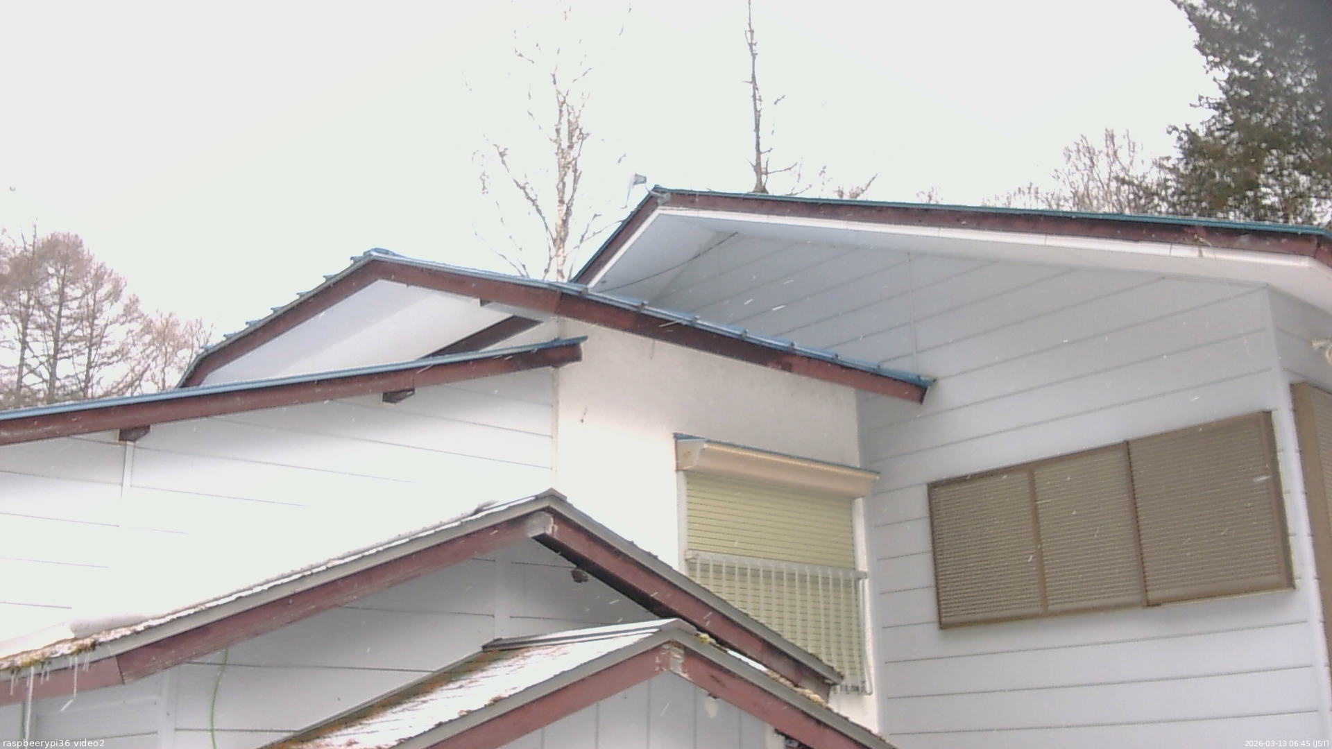 長野県菅平高原 ゆたか山荘 駐車場奥 2026/03/13 06:45