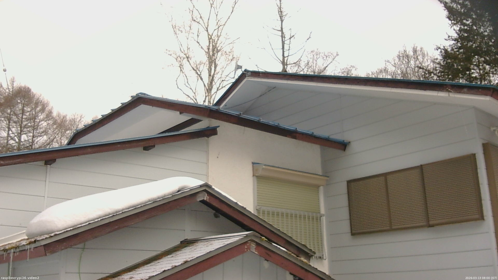 長野県菅平高原 ゆたか山荘 駐車場奥 2026/03/13 08:00