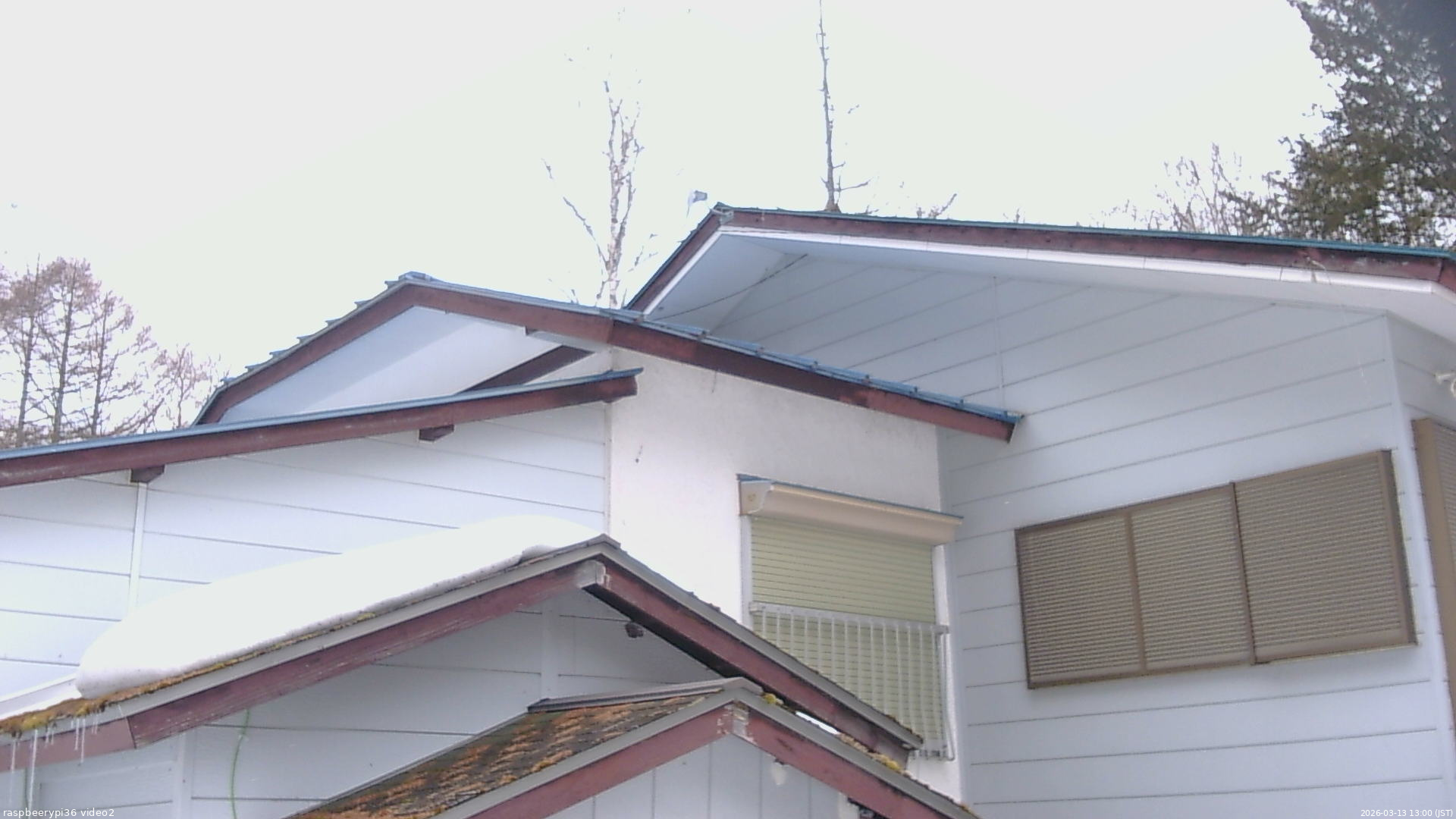 長野県菅平高原 ゆたか山荘 駐車場奥 2026/03/13 13:00