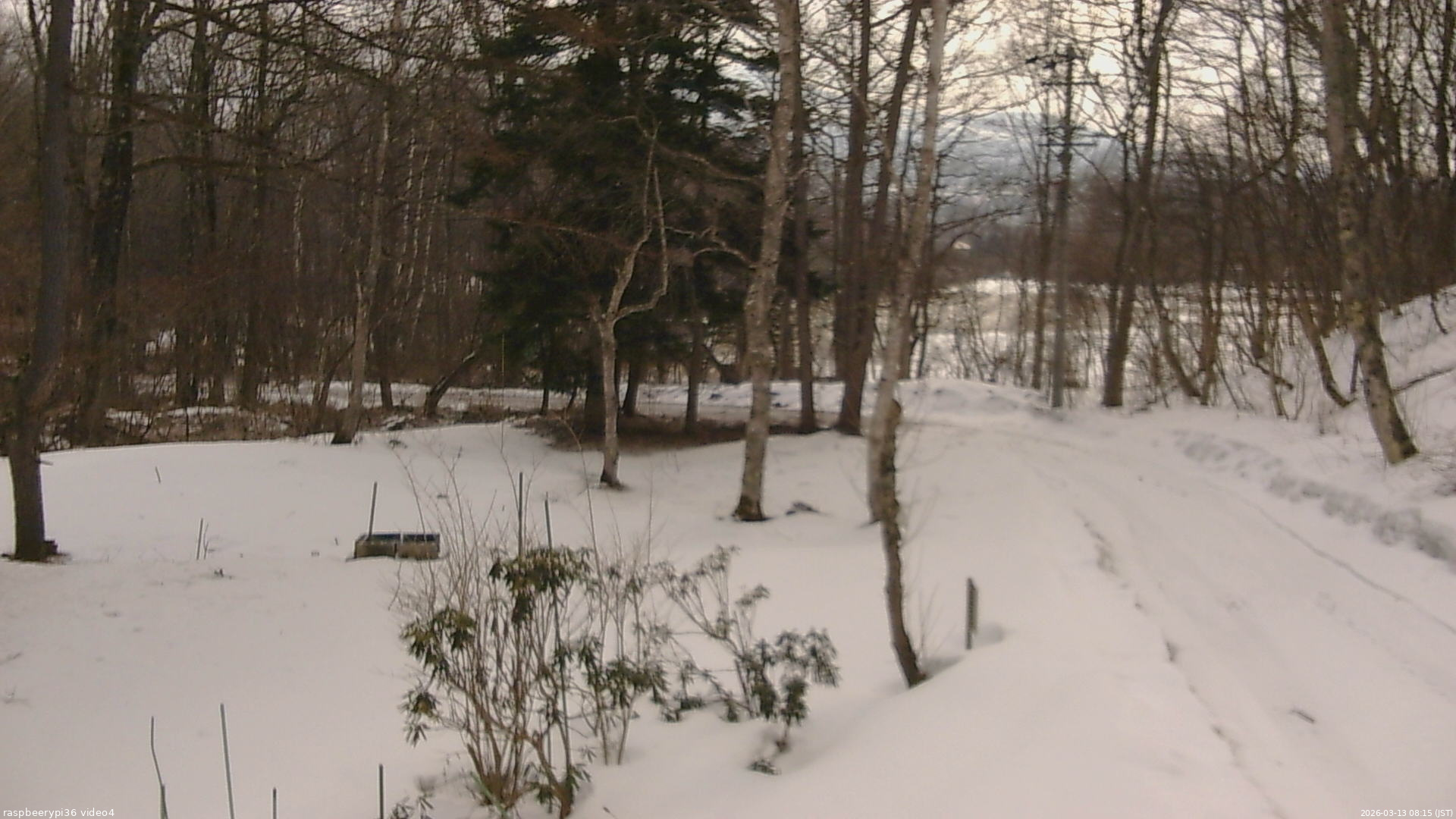 長野県菅平高原 ゆたか山荘 坂上 2026/03/13 08:15