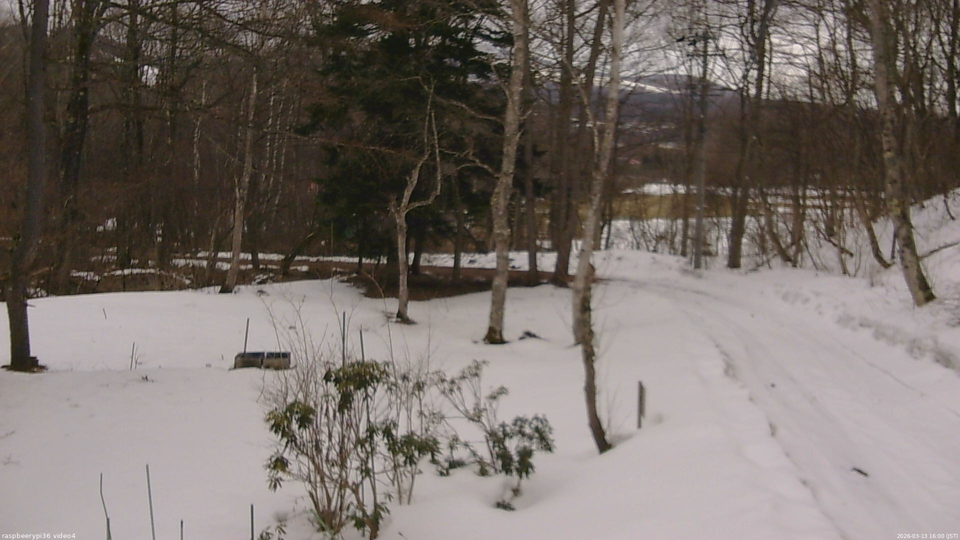 長野県菅平高原 ゆたか山荘 坂上 2026/03/13 16:00