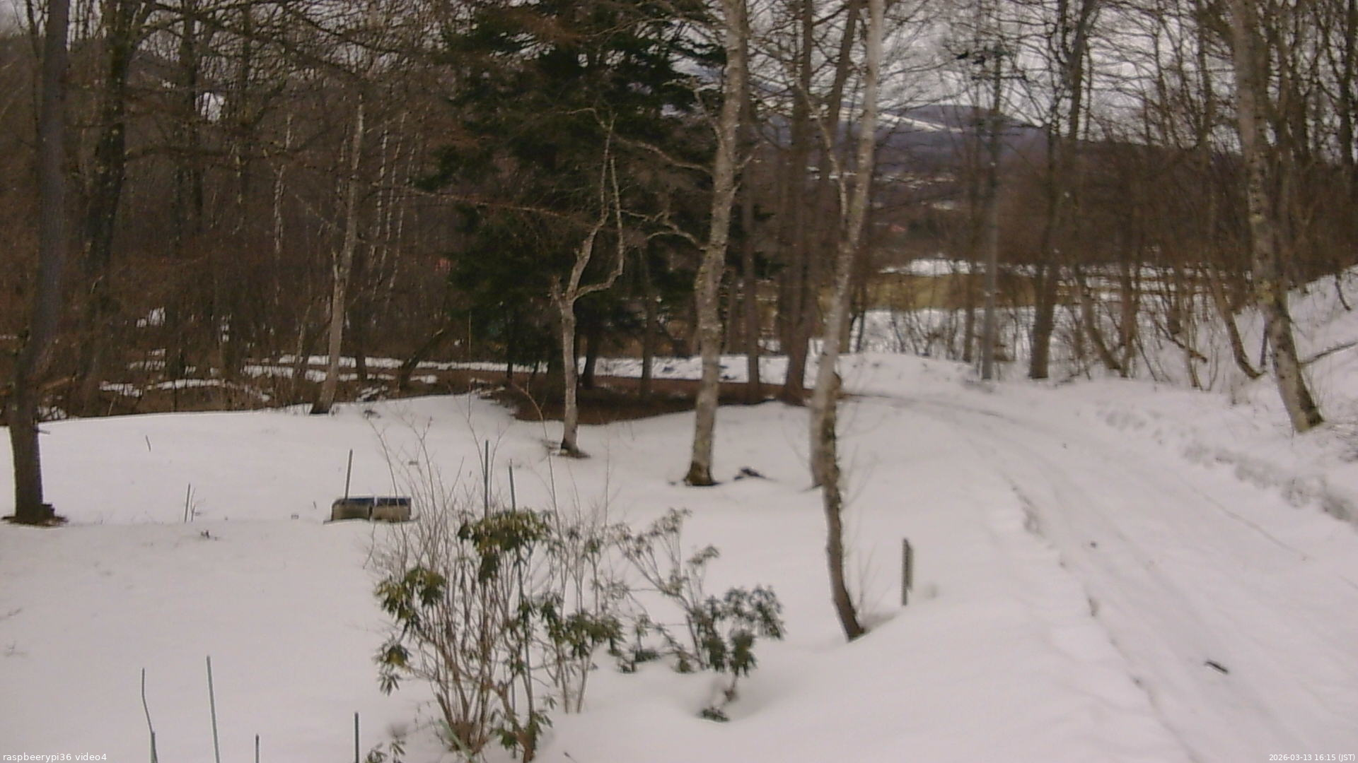 長野県菅平高原 ゆたか山荘 坂上 2026/03/13 16:15