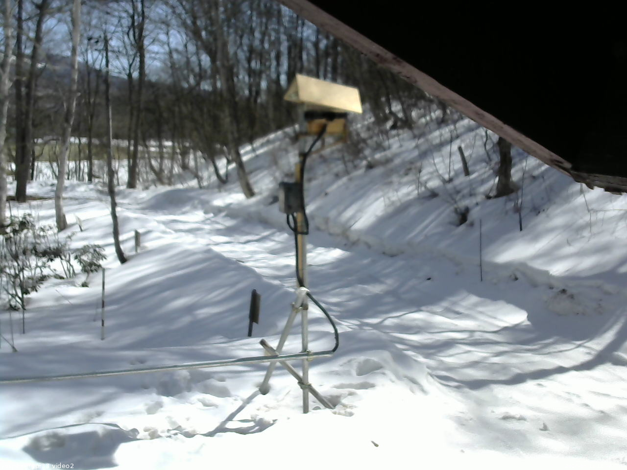 長野県菅平高原 ゆたか山荘 南側 2026/03/14 11:30