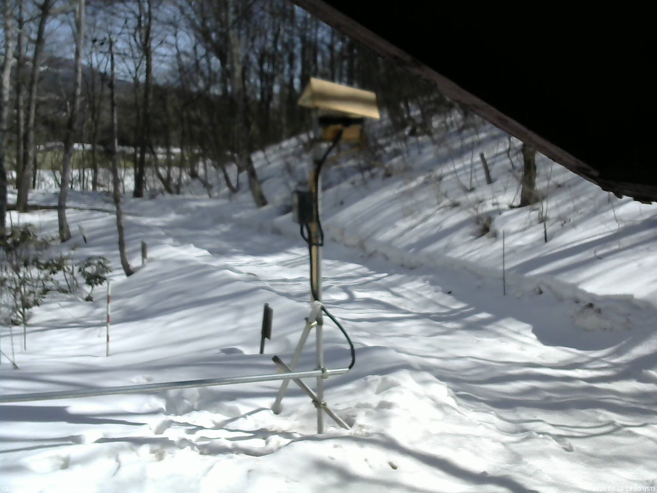 長野県菅平高原 ゆたか山荘 南側 2026/03/14 13:00
