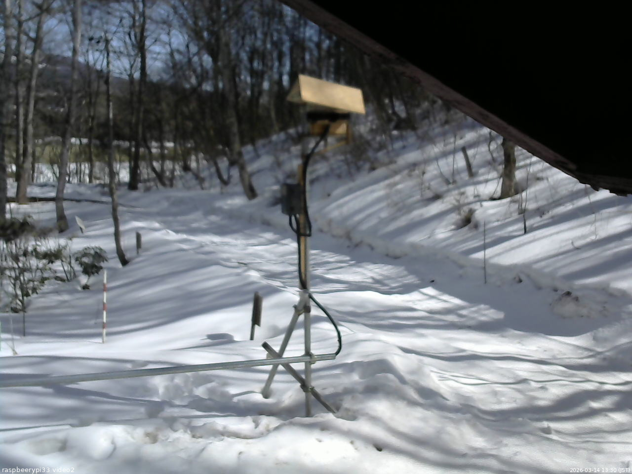 長野県菅平高原 ゆたか山荘 南側 2026/03/14 13:30