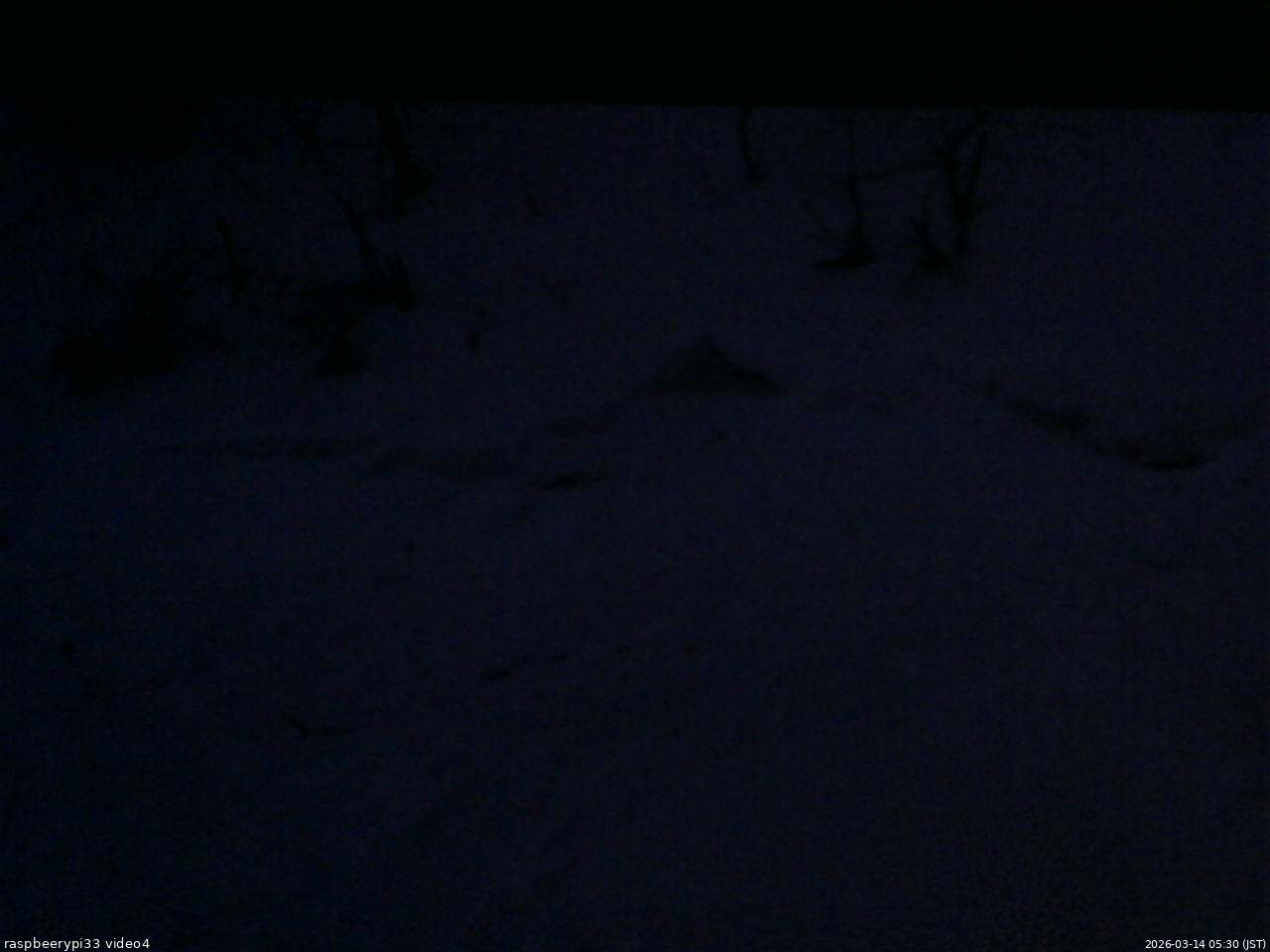長野県菅平高原 ゆたか山荘 東側(坂下) 2026/03/14 05:30