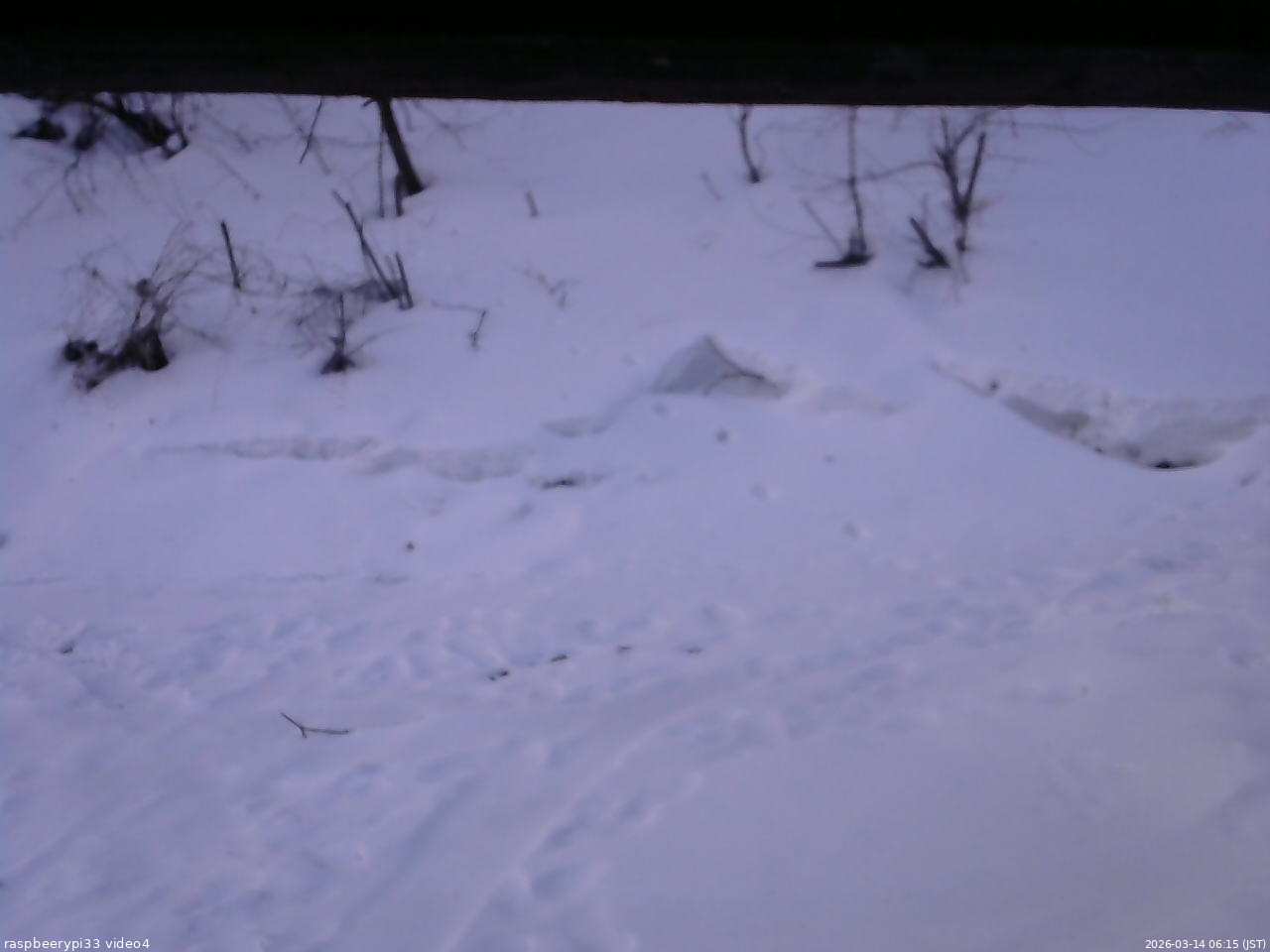 長野県菅平高原 ゆたか山荘 東側(坂下) 2026/03/14 06:15