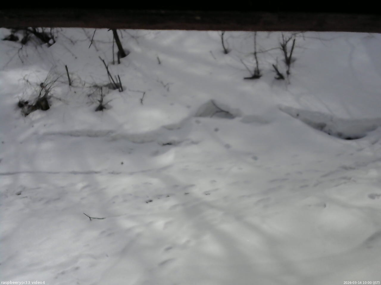 長野県菅平高原 ゆたか山荘 東側(坂下) 2026/03/14 10:00