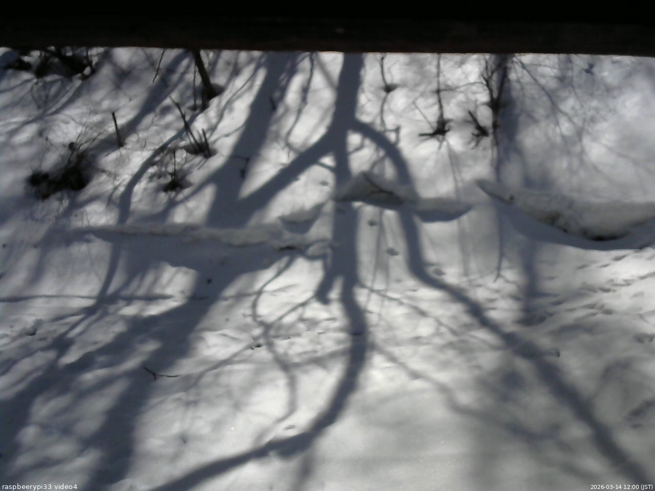 長野県菅平高原 ゆたか山荘 東側(坂下) 2026/03/14 12:00